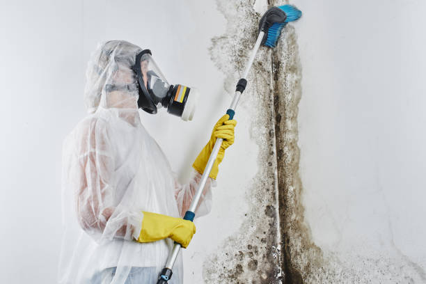 Best Crawl Space Mold Removal  in Coosada, AL