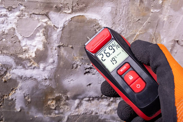 Best Home Mold Removal  in Coosada, AL
