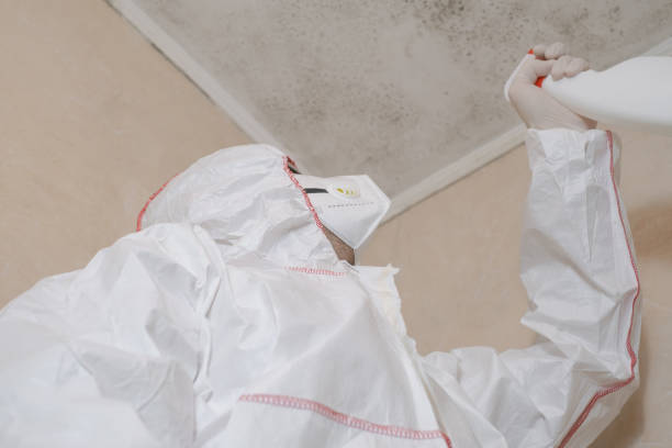 Best Attic Mold Removal  in Coosada, AL