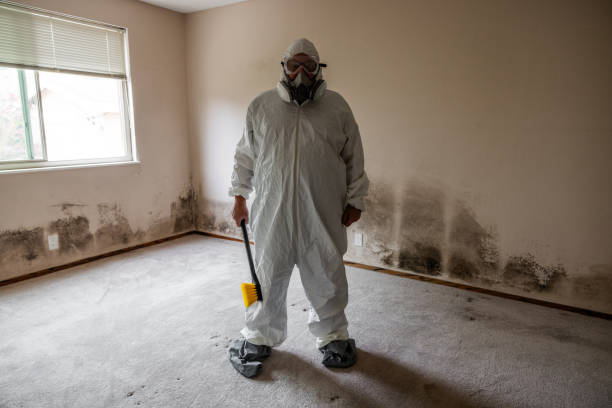 Best Mold Remediation Services  in Coosada, AL