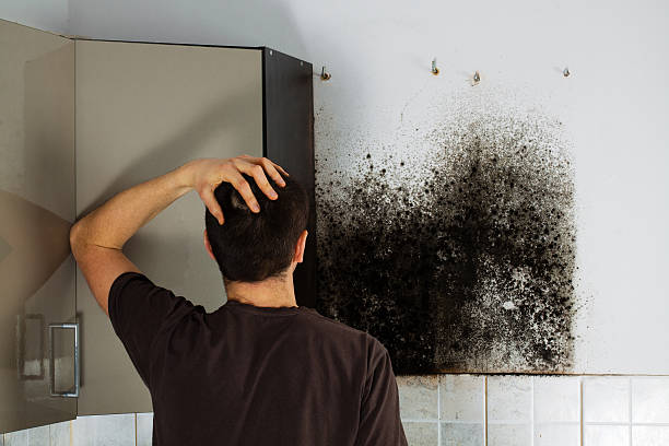 Best Commercial Mold Removal  in Coosada, AL